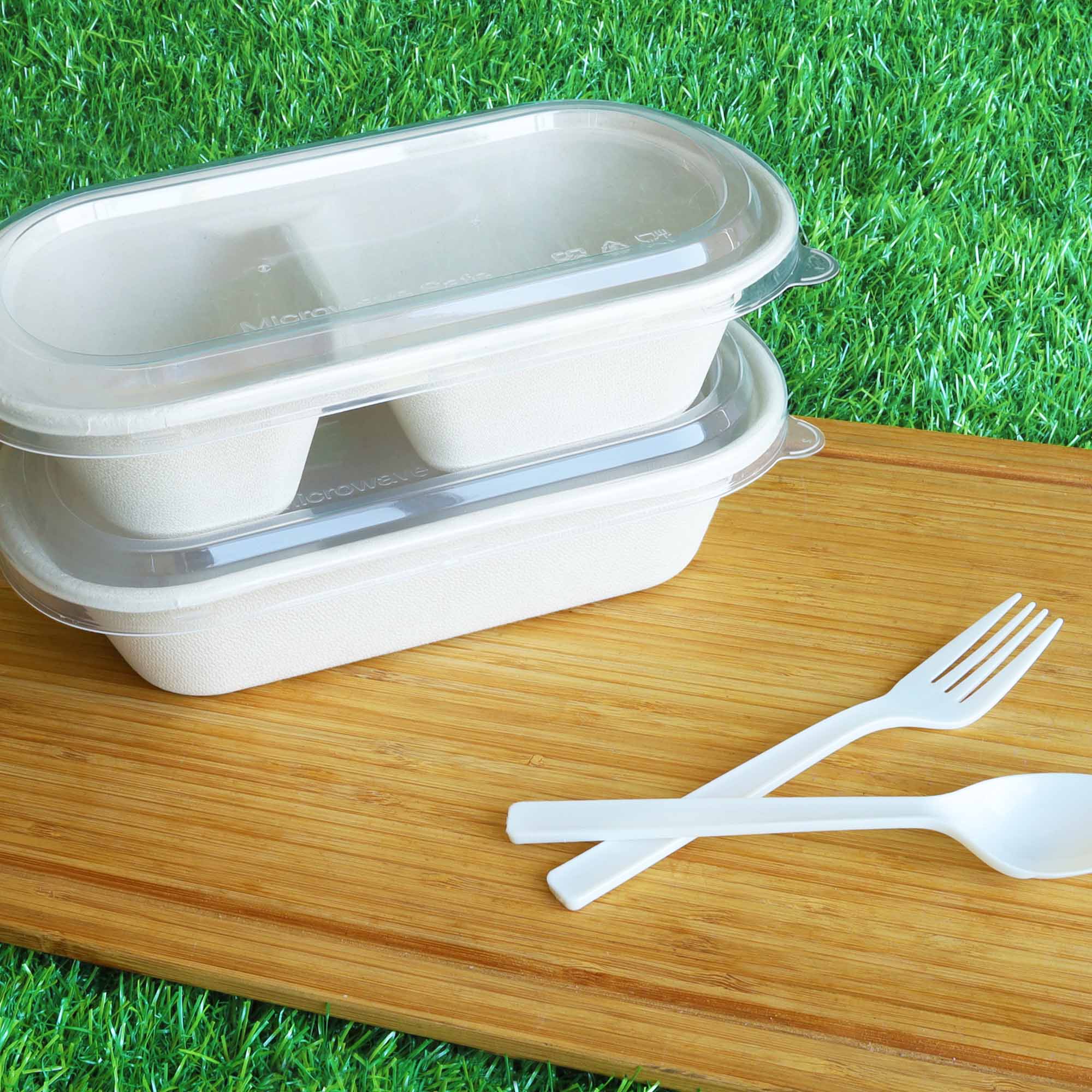 bagasse food container